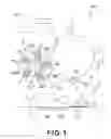 Fig. 02 - Image forming apparatus wherein a carrier weight ratio in a first supply container and carrier weight ratio in a second supply container are substantially equal to each other