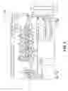 Fig. 06 - Image forming apparatus wherein a carrier weight ratio in a first supply container and carrier weight ratio in a second supply container are substantially equal to each other
