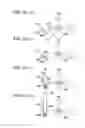 Fig. 13 - Image forming system