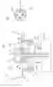 Fig. 02 - Pump, dispenser and corresponding process for dispensing a liquid or viscous mass