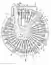 Fig. 01 - Scroll fluid machine having a fixed scroll with a heat-releasing projection