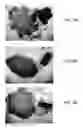Fig. 05 - Slug for industrial ballistic tool