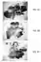 Fig. 06 - Slug for industrial ballistic tool