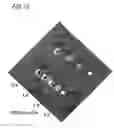 Fig. 19 - Solid state molecular probe device