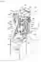 Fig. 19 - Analyzing apparatus, solid-liquid separation device and solid-liquid separation method