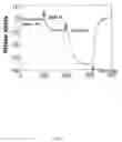 Fig. 07 - APPARATUS, SYSTEM AND METHOD FOR TISSUE OXIMETRY