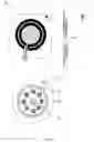Fig. 09 - APPARATUS, SYSTEM AND METHOD FOR TISSUE OXIMETRY
