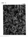 Fig. 03 - Amorphous carbon particles and composite material used thereof