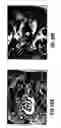 Fig. 37 - Composition and method for modulating vasculogenesis for angiogenesis