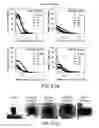 Fig. 49 - Composition and method for modulating vasculogenesis for angiogenesis
