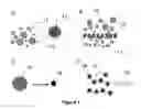 Fig. 02 - Polymer coated microparticles