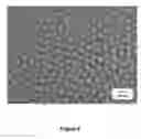 Fig. 07 - Polymer coated microparticles