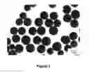 Fig. 08 - Polymer coated microparticles