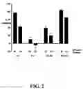Fig. 03 - Multivalent constructs for therapeutic and diagnostic applications