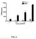 Fig. 07 - Multivalent constructs for therapeutic and diagnostic applications