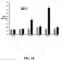 Fig. 11 - Multivalent constructs for therapeutic and diagnostic applications