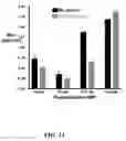 Fig. 12 - Multivalent constructs for therapeutic and diagnostic applications
