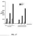 Fig. 18 - Multivalent constructs for therapeutic and diagnostic applications
