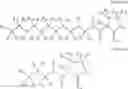 Fig. 12 - Antimicrobial dental materials, restorations, and prostheses