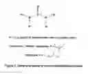 Fig. 03 - Nonaqueous ascorbic acid compositions and methods for preparing same