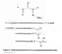 Fig. 04 - Nonaqueous ascorbic acid compositions and methods for preparing same
