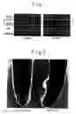 Fig. 02 - Hair tonics and method of screening the same