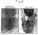 Fig. 08 - Hair tonics and method of screening the same