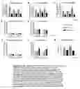 Fig. 04 - Chronic articular inflammation-modulating composition based on collagen-polyvinylpyrrolidone
