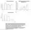 Fig. 08 - Chronic articular inflammation-modulating composition based on collagen-polyvinylpyrrolidone