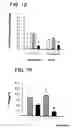 Fig. 09 - Chronic articular inflammation-modulating composition based on collagen-polyvinylpyrrolidone