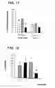 Fig. 10 - Chronic articular inflammation-modulating composition based on collagen-polyvinylpyrrolidone