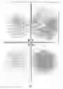 Fig. 02 - Method for detecting the specificity of activated lymphocyte