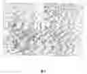 Fig. 03 - Method for detecting the specificity of activated lymphocyte
