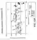 Fig. 35 - Protease resistant interferon beta mutants