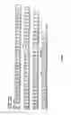 Fig. 06 - Polyepitope vaccines
