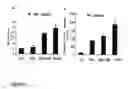 Fig. 04 - Stem cells having increased sensitivity to a chemoattractant and methods of generating and using same