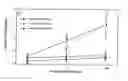 Fig. 03 - Method for identifying an anti- streptococcal agent and its use for treating streptococcal infections