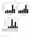 Fig. 05 - Method for identifying an anti- streptococcal agent and its use for treating streptococcal infections