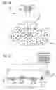 Fig. 07 - Methods and Systems for Treating Injured Cardiac Tissue