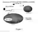 Fig. 02 - Dairy components effective for fat loss