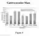 Fig. 09 - Dairy components effective for fat loss