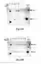 Fig. 31 - Methods for treating conditions associated with MASP-2 dependent complement activation