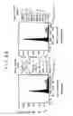 Fig. 14 - Expression of cyclin G1 in tumors