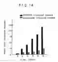 Fig. 19 - Expression of cyclin G1 in tumors