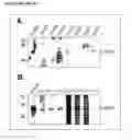 Fig. 07 - Alpha-enolase specific antibody and method of use