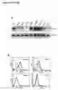 Fig. 09 - Alpha-enolase specific antibody and method of use