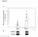 Fig. 16 - Alpha-enolase specific antibody and method of use