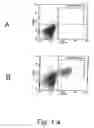 Fig. 02 - Leukocyte stimulation matrix