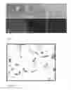 Fig. 06 - Immunotargeting of Nonionic Surfactant Vesicles