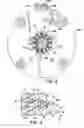 Fig. 04 - Extruder system and cutting assembly